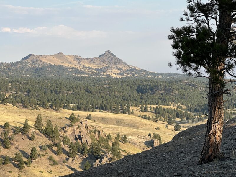 Missouri River Ranch Lot 115