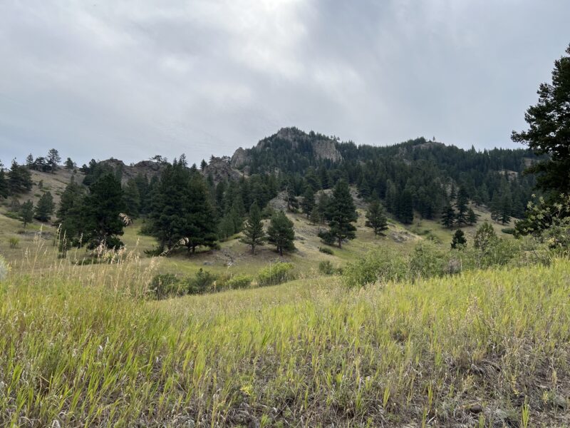 Eagle Canyon Ranch Lot 146,147,149,156