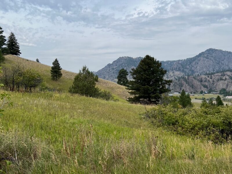 Eagle Canyon Ranch Lot 132